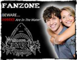 Free download Sample Square Banner Two Modifed free photo or picture to be edited with GIMP online image editor