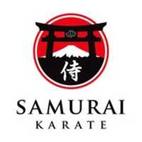 Free download Samurai Karate free photo or picture to be edited with GIMP online image editor