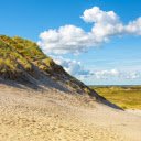 Sand dunes and grass  screen for extension Chrome web store in OffiDocs Chromium
