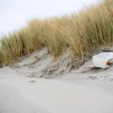 SAND DUNES THEME  screen for extension Chrome web store in OffiDocs Chromium
