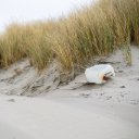 SAND DUNES THEME  screen for extension Chrome web store in OffiDocs Chromium