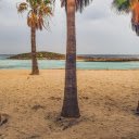 sandy beach and palm trees  screen for extension Chrome web store in OffiDocs Chromium