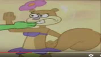 Free download Sandy Cheeks 2 free photo or picture to be edited with GIMP online image editor