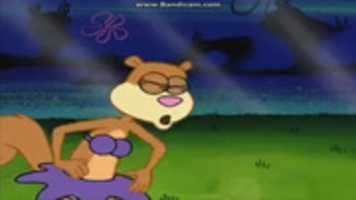 Free download Sandy Cheeks 3 free photo or picture to be edited with GIMP online image editor