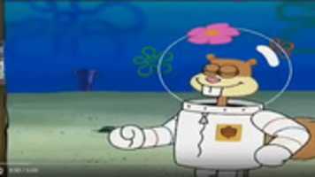 دانلود رایگان عکس یا عکس Sandy Cheeks برای ویرایش با ویرایشگر تصویر آنلاین GIMP