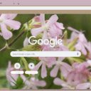 Saponaria  screen for extension Chrome web store in OffiDocs Chromium