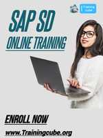Free download SAP SD Online Training Trainingcube 4 Copy free photo or picture to be edited with GIMP online image editor