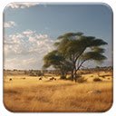 Savanna  screen for extension Chrome web store in OffiDocs Chromium