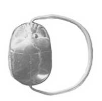 Free download Scarab Finger Ring of Ameny free photo or picture to be edited with GIMP online image editor