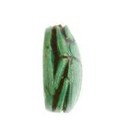 Free download Scarab for Maatkare (Hatshepsut), Beloved of Amun free photo or picture to be edited with GIMP online image editor