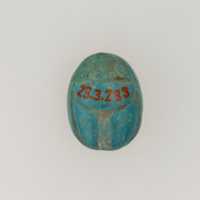 Free download Scarab free photo or picture to be edited with GIMP online image editor