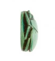 Free download Scarab Inscribed Hatshepsut, Living Forever free photo or picture to be edited with GIMP online image editor