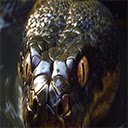 Scary Giant Anaconda Interface BFlix  screen for extension Chrome web store in OffiDocs Chromium
