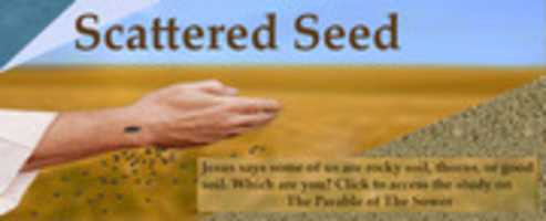 Free download Scattered seed slider possible free photo or picture to be edited with GIMP online image editor