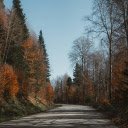 Scenic Autumn Road in Bolu, Turkey  screen for extension Chrome web store in OffiDocs Chromium