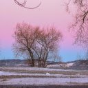 Scenic Winter Landscape in Sweden  screen for extension Chrome web store in OffiDocs Chromium