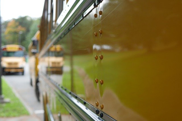 Free download school bus buses school yellow free picture to be edited with GIMP free online image editor