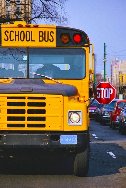 Free download school bus yellow transport school free picture to be edited with GIMP free online image editor