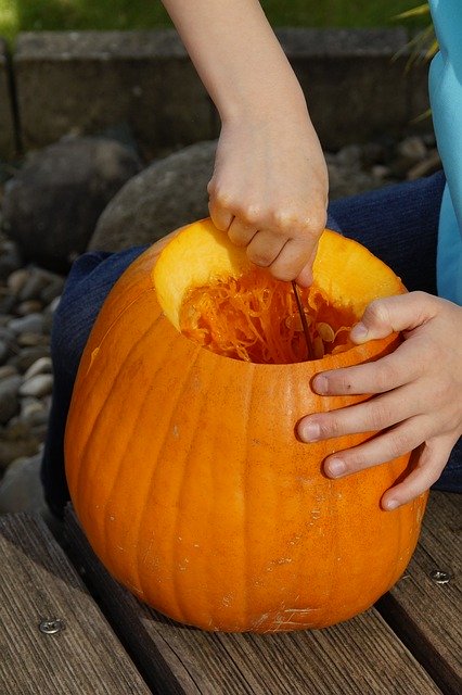 Free download scrape off scoop out pumpkin free picture to be edited with GIMP free online image editor