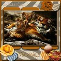 Free download Scrap Won First Place Ribbon @ Flair Scrapbook Jan 31 2013 free photo or picture to be edited with GIMP online image editor