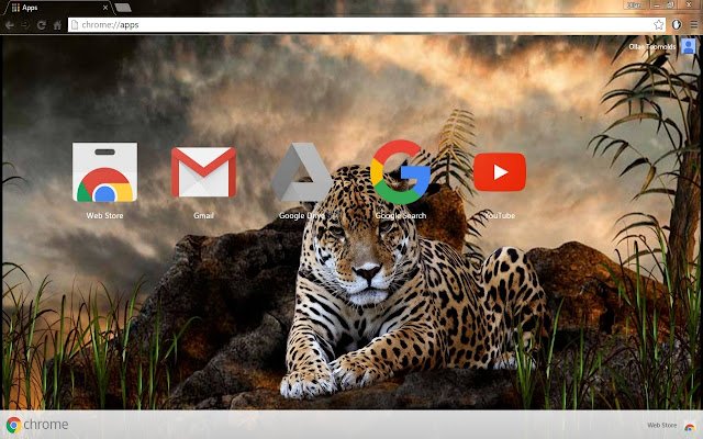 1080p HD Leopard da Chrome Web Store para ser executado com OffiDocs Chromium online