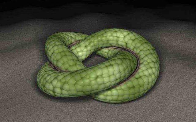 3D scene of a snake rolling on the ground  from Chrome web store to be run with OffiDocs Chromium online