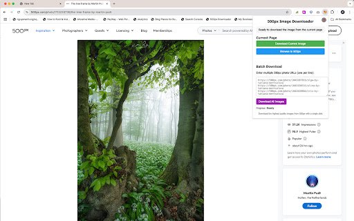 500px Image Downloader  from Chrome web store to be run with OffiDocs Chromium online