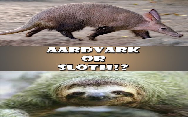 Aardvark or Sloth!?  from Chrome web store to be run with OffiDocs Chromium online