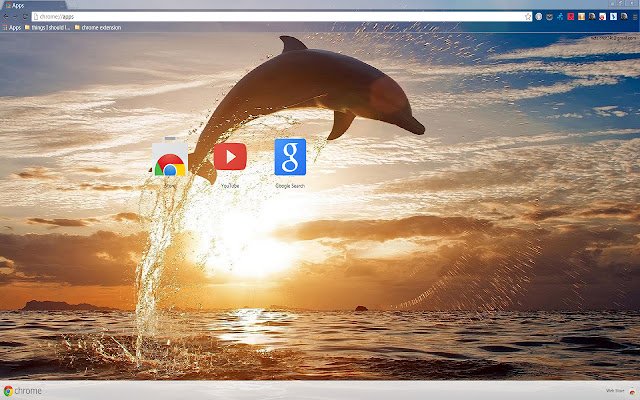 Admirable Dolphin for 1366 X 768 resolution  from Chrome web store to be run with OffiDocs Chromium online