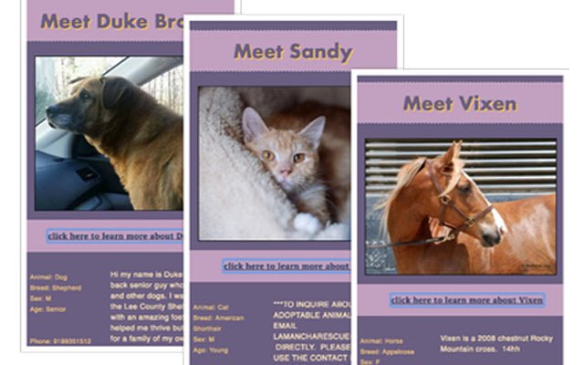Adoptable Pets  from Chrome web store to be run with OffiDocs Chromium online