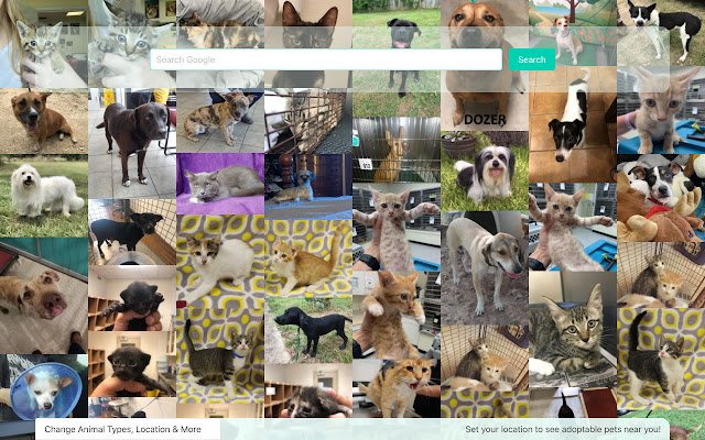 Adopt Pets New Tab  from Chrome web store to be run with OffiDocs Chromium online