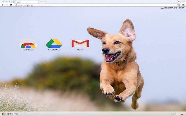 क्रोम वेब स्टोर से प्यारा कुत्ता ऑनलाइन ऑफीडॉक्स क्रोमियम के साथ चलाया जाएगा