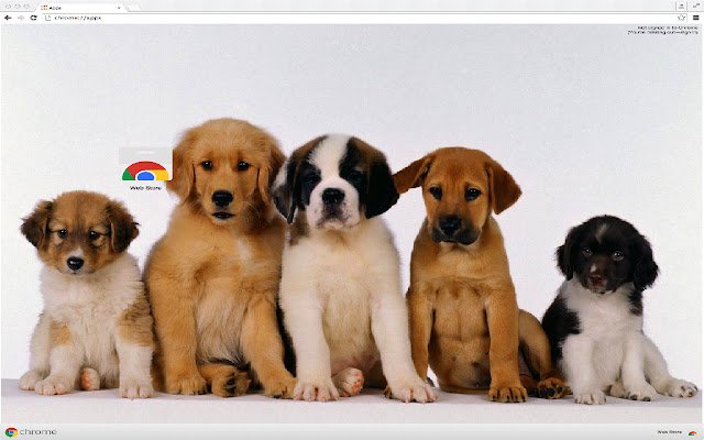 Adorable Dogs من متجر Chrome الإلكتروني ليتم تشغيلها باستخدام OffiDocs Chromium عبر الإنترنت