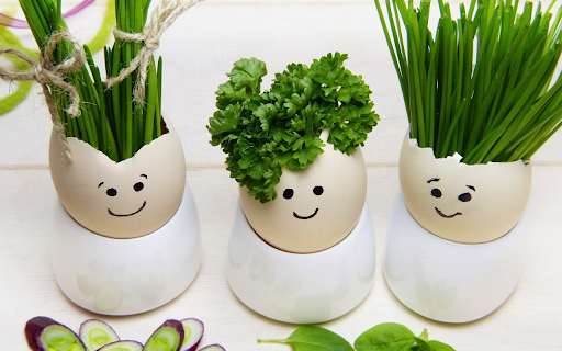 Adorable egg shells  from Chrome web store to be run with OffiDocs Chromium online