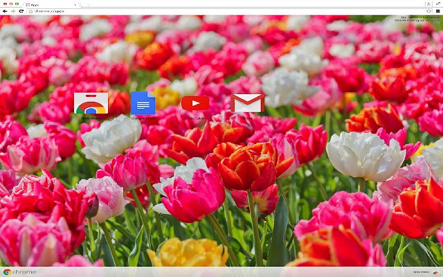 ธีมดอกไม้น่ารักจาก Chrome เว็บสโตร์ที่จะใช้งานร่วมกับ OffiDocs Chromium ออนไลน์