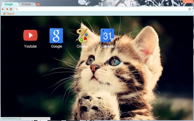 AdOrAbLe funNy cat mIx dal Chrome web store da eseguire con OffiDocs Chromium online
