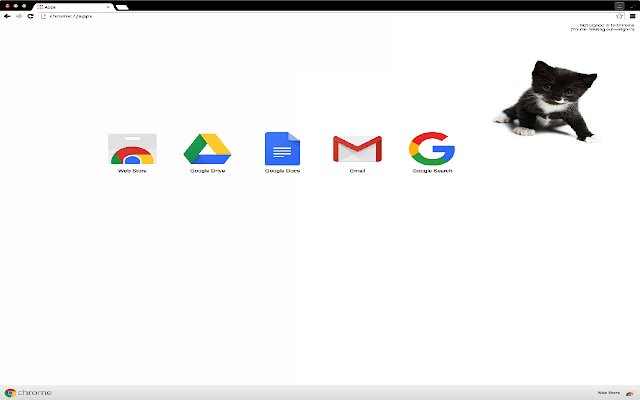Adorable Kitten Theme 4  from Chrome web store to be run with OffiDocs Chromium online