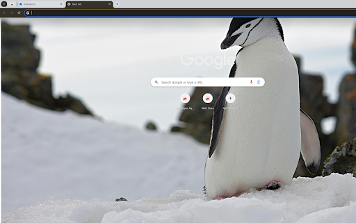 adorable penguin standing on the snow from Chrome web store to be run with OffiDocs Chromium online adorable penguin standing on the snow from Chrome web store to be run with OffiDocs Chromium online