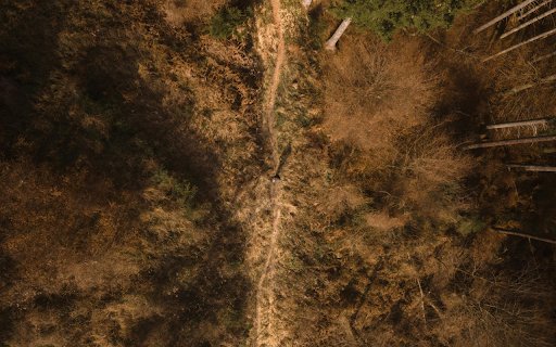 Aerial View of Forest Trail in Styria, Austria  from Chrome web store to be run with OffiDocs Chromium online