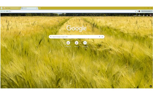 A Field of Barley from Chrome web store to be run with OffiDocs Chromium online A Field of Barley from Chrome web store to be run with OffiDocs Chromium online