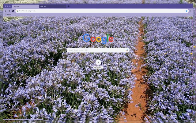 Поле фіолетових квітів із веб-магазину Chrome, яке буде працювати за допомогою OffiDocs Chromium онлайн
