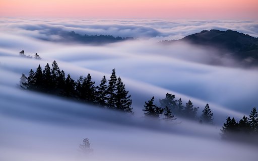 A foggy landscape with trees and mountains  from Chrome web store to be run with OffiDocs Chromium online
