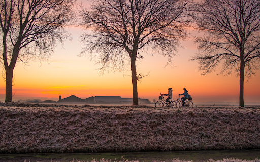 Afternoon sunset  from Chrome web store to be run with OffiDocs Chromium online