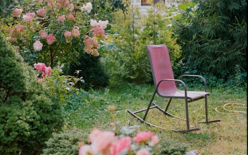 A Gentle Respite Amidst Hydrangea Blooms  from Chrome web store to be run with OffiDocs Chromium online