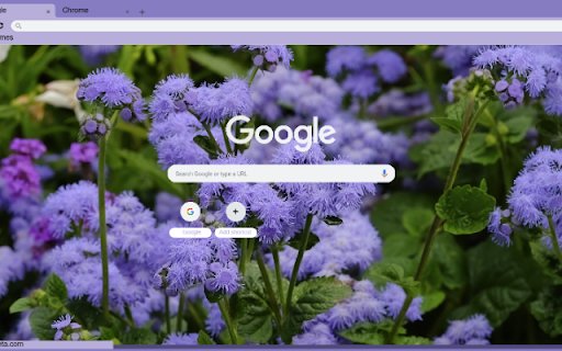 Ageratum  from Chrome web store to be run with OffiDocs Chromium online