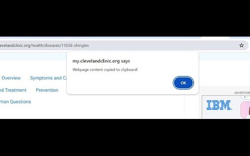 AIBuddy  from Chrome web store to be run with OffiDocs Chromium online