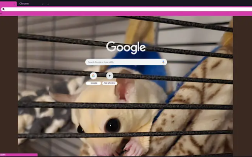 Alice Fuzz Butt  from Chrome web store to be run with OffiDocs Chromium online