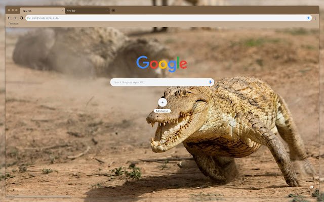 Alligator in the desert de Chrome web store se ejecutará con OffiDocs Chromium en línea