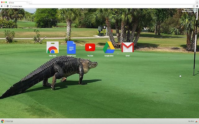 Tema Alligatore dal negozio web di Chrome da eseguire con OffiDocs Chromium online