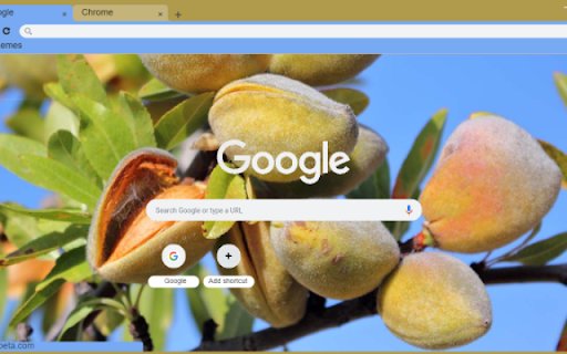 Almond Tree from Chrome web store to be run with OffiDocs Chromium online Almond Tree from Chrome web store to be run with OffiDocs Chromium online